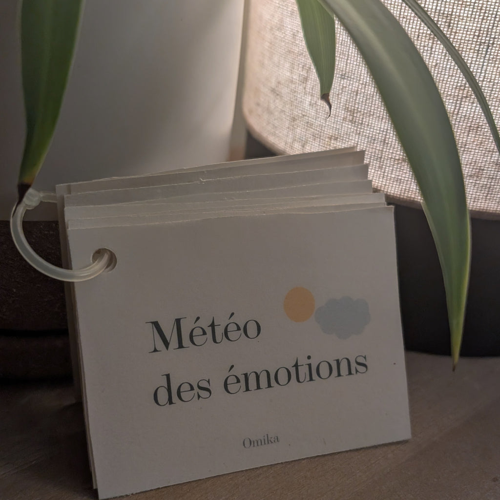 Trousse de la météo des émotions | Activités et outils imprimables pour aider les enfants à comprendre leurs émotions